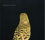 Andrew Bird Armchair Apocrypha