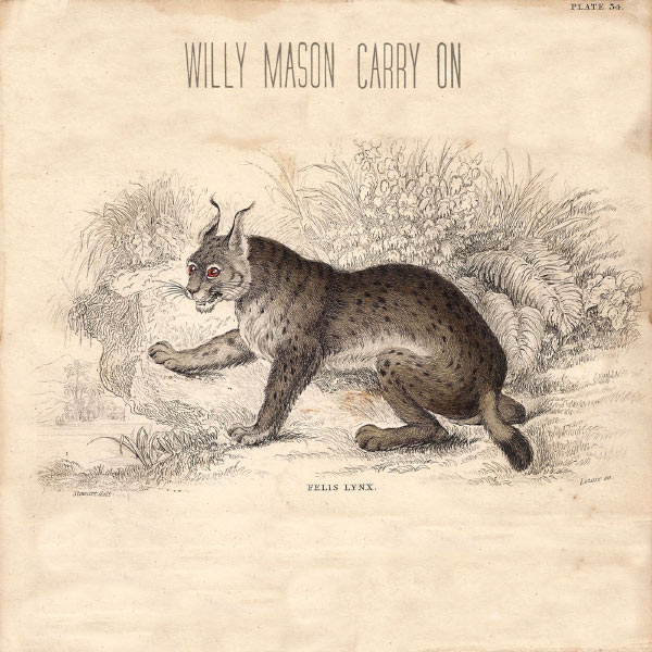 Album Premiere: Willy Mason, Carry On