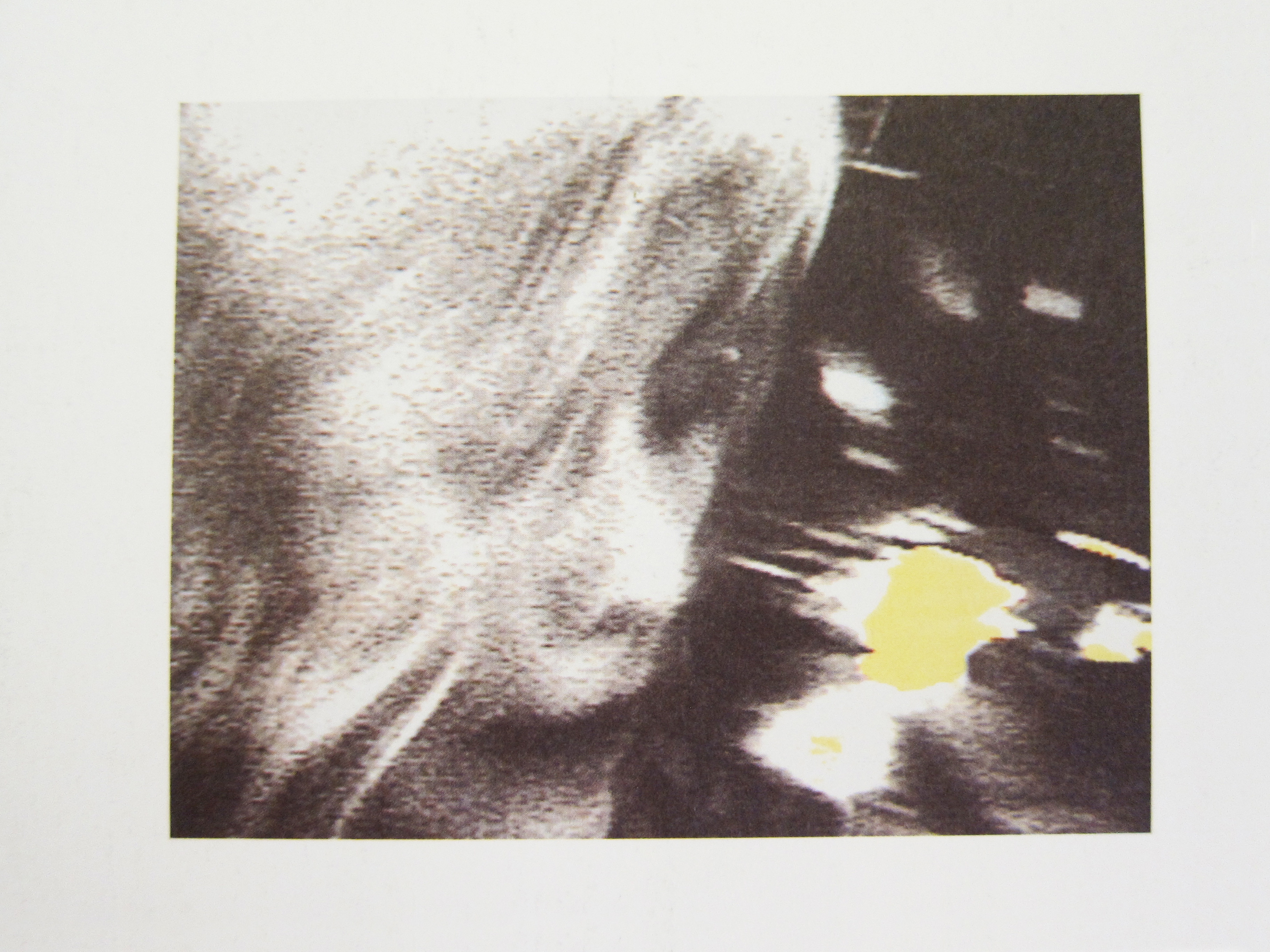 Emmylou Harris Wrecking Ball (Deluxe Edition)