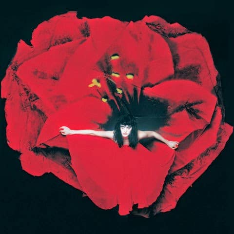 Smashing Pumpkins: Adore (Super Deluxe Edition)