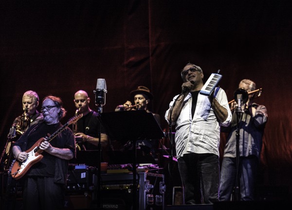 Steely Dan, Elvis Costello Turn Summer Cool