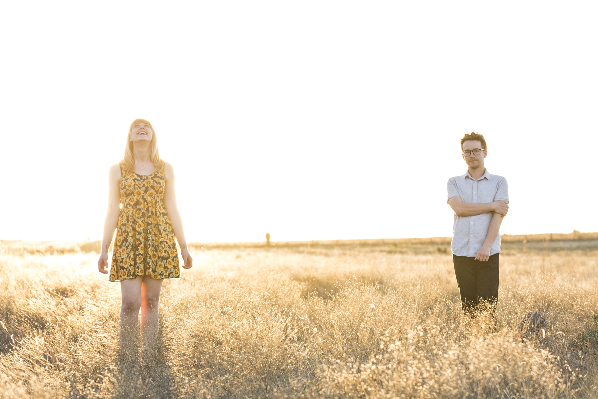 Wye Oak