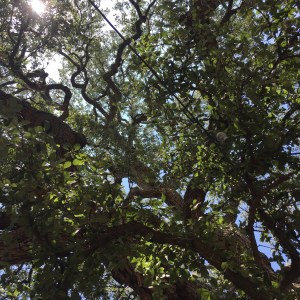 Gabe Dixon's Twobadours On The Run – Fall 2016