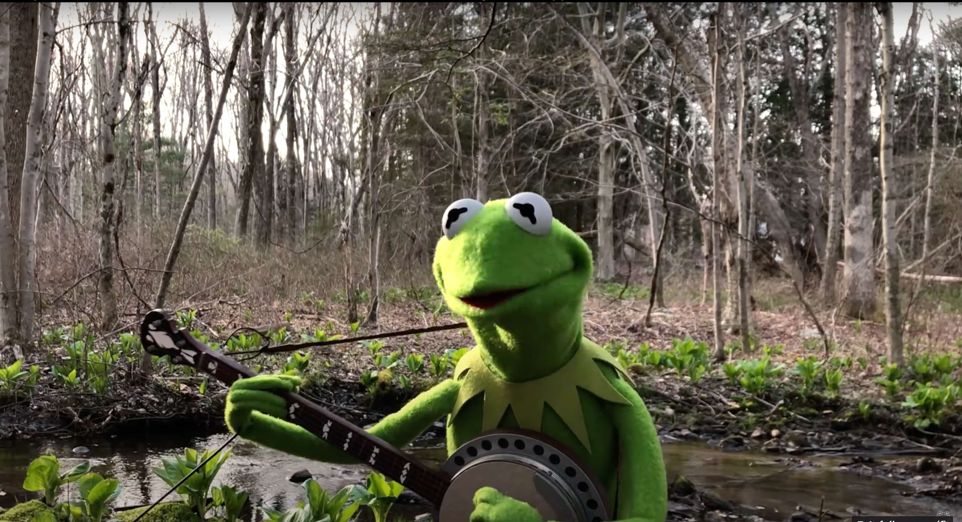 Learn Disney Music Classics From Frozen, The Muppet Movie And More On Fender Play