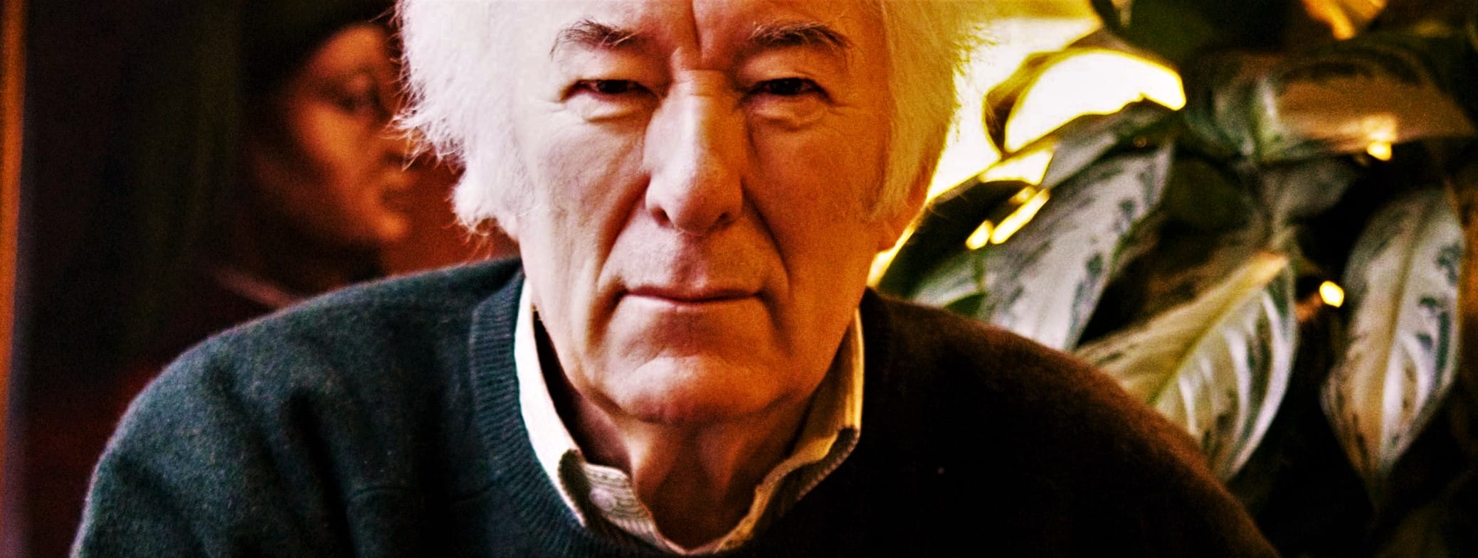 Songwriter U: Seamus Heaney on the Wisdom of Wooden Spoons
