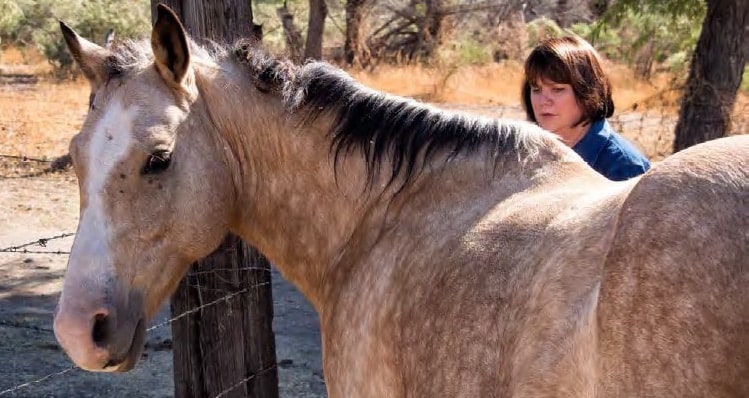 Linda Ronstadt to Publish New Book, ‘Feels Like Home,’ a Love Letter to Her Mexican-American Roots