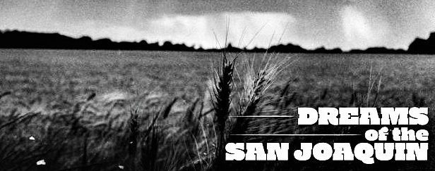 Michael McDonald, Willie Nelson & David Hidalgo Team Up to Benefit Refugees, Immigrants & Farmworkers