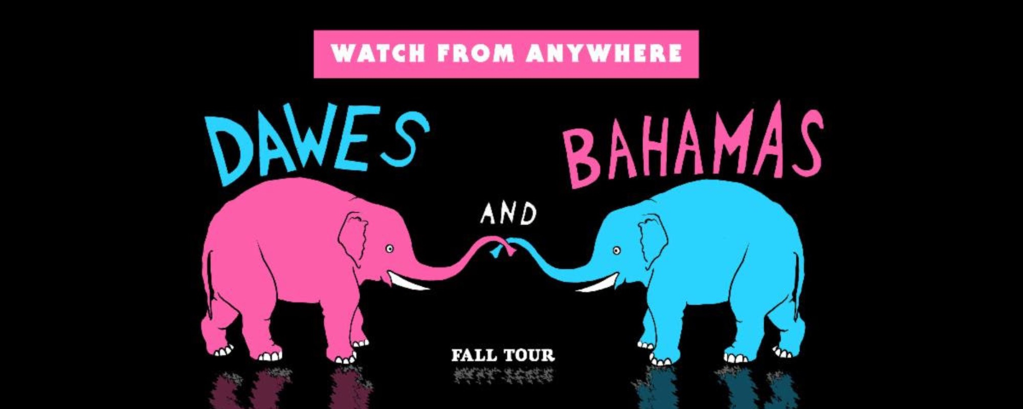 Dawes and Bahamas Announce Mandolin Streaming Event