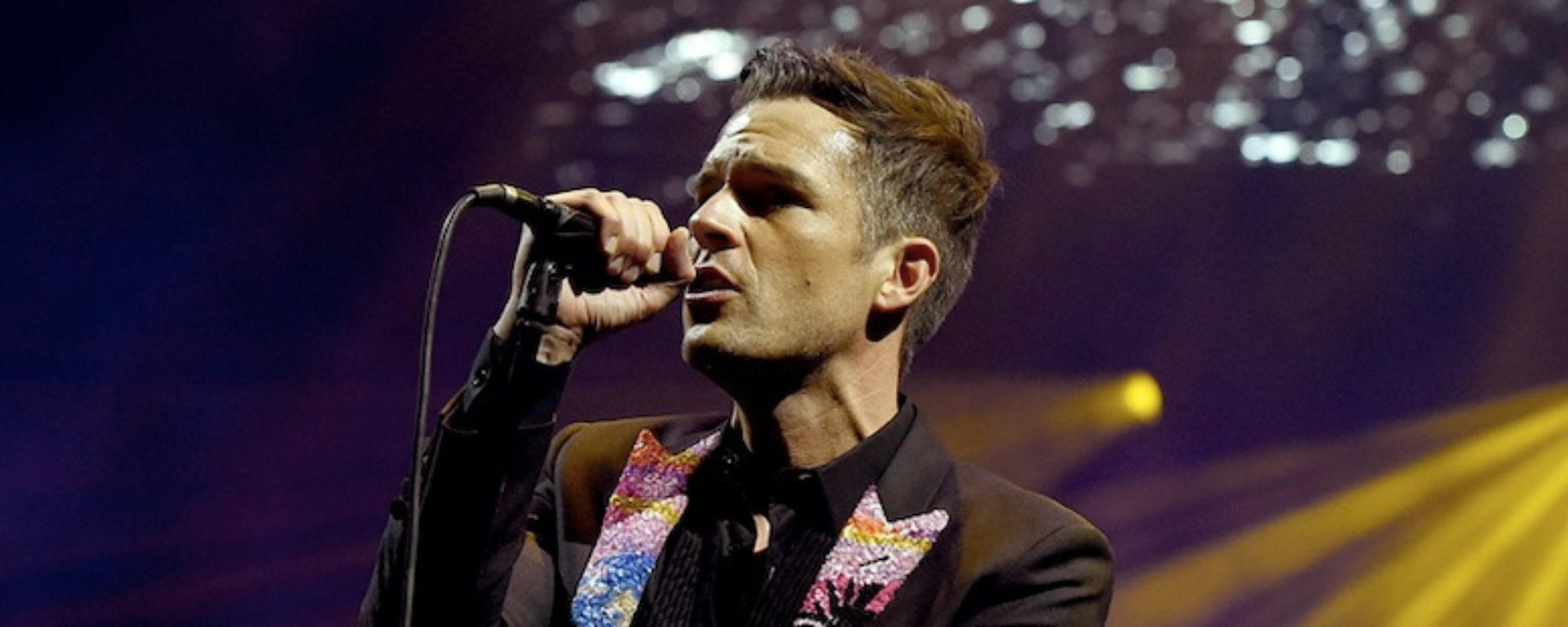 The 20 Best Brandon Flowers Quotes