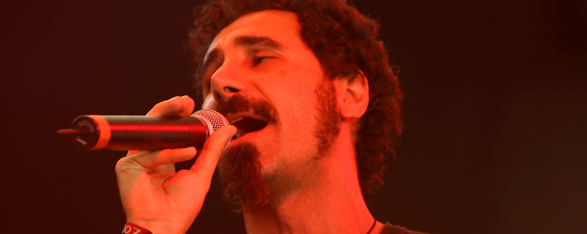 Part History, Part Memoir, Serj Tankian’s Book ‘Down With the System’ Shocks and Enlightens on Every Page