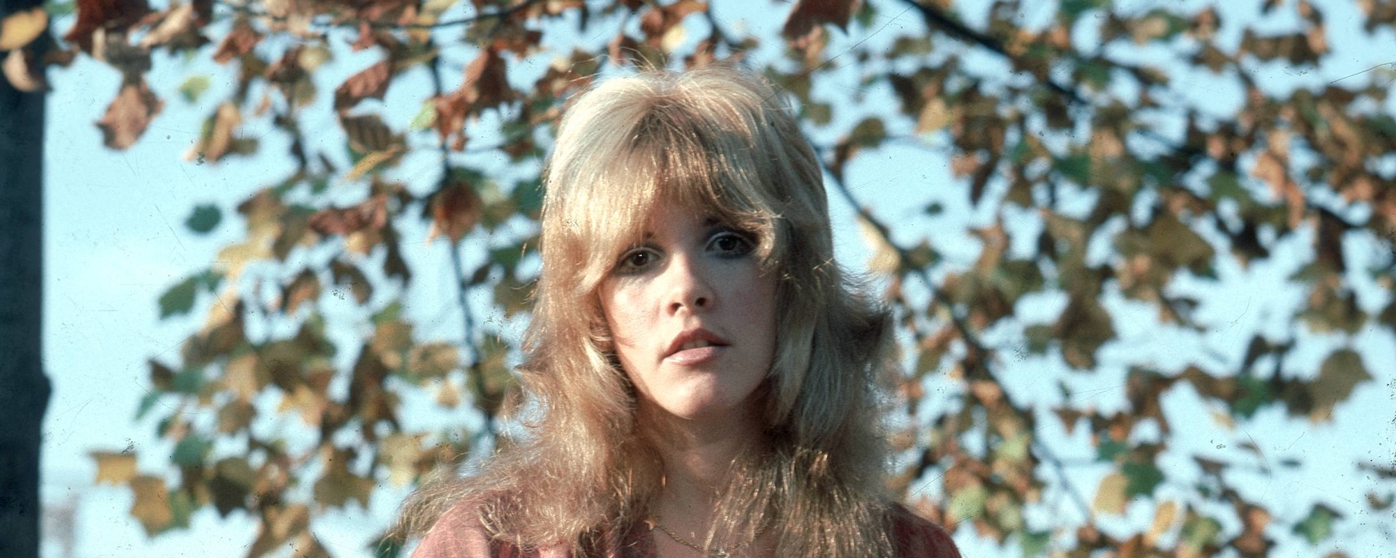 Stevie Nicks Calls This ‘Holland’ Track a “Quintessential” Beach Boys Song, Yet Brian Wilson Never Liked It