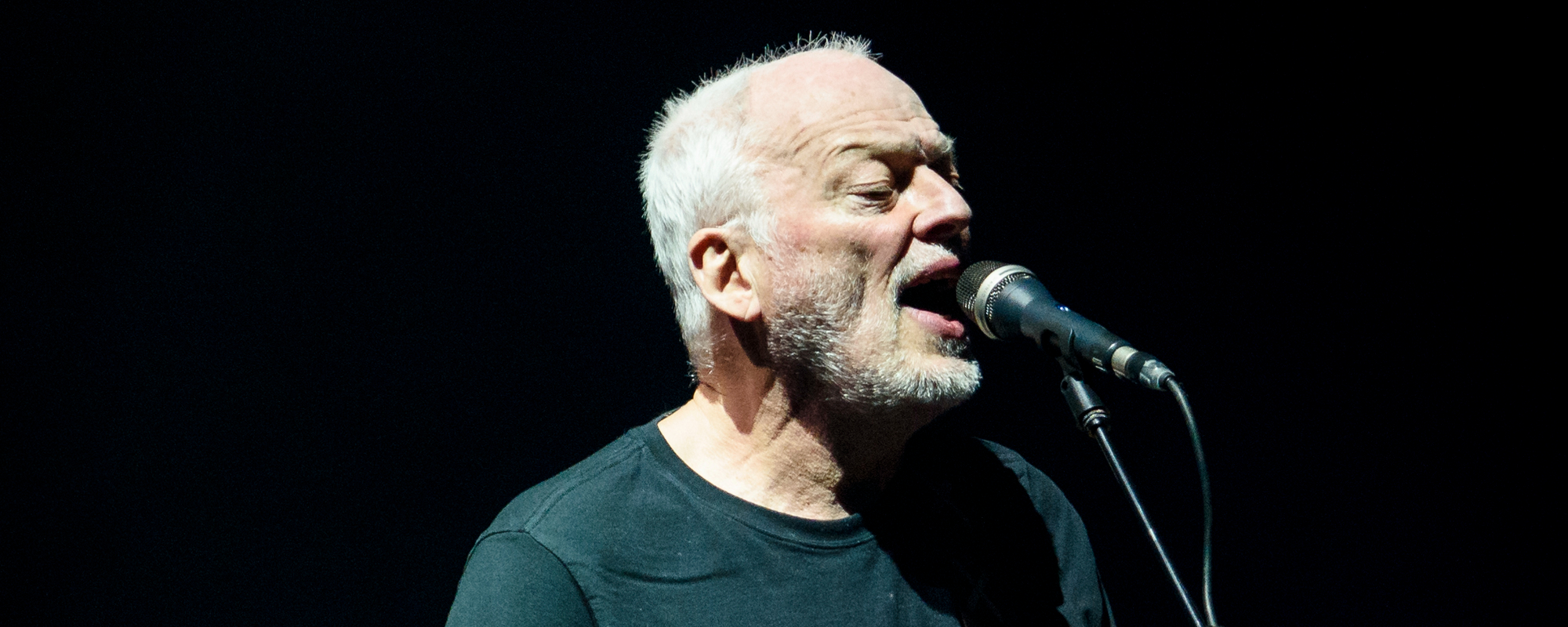 Pink Floyd's David Gilmour Struggles To Get Honest Feedback