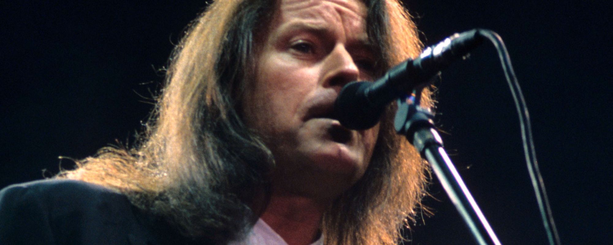 Don Henley performing