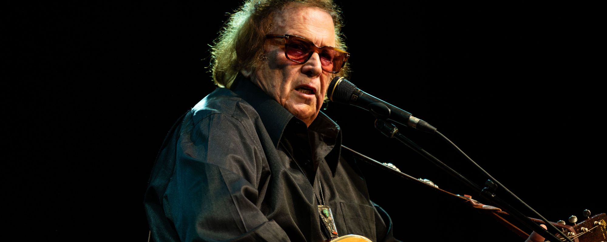 Don McLean performing