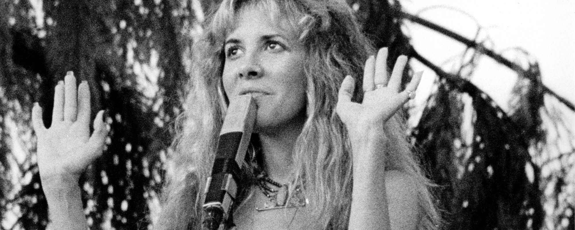 Stevie Nicks performing