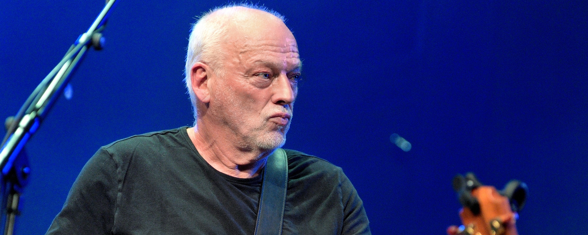 David Gilmour