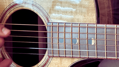 breedlove myrzilian 2 review