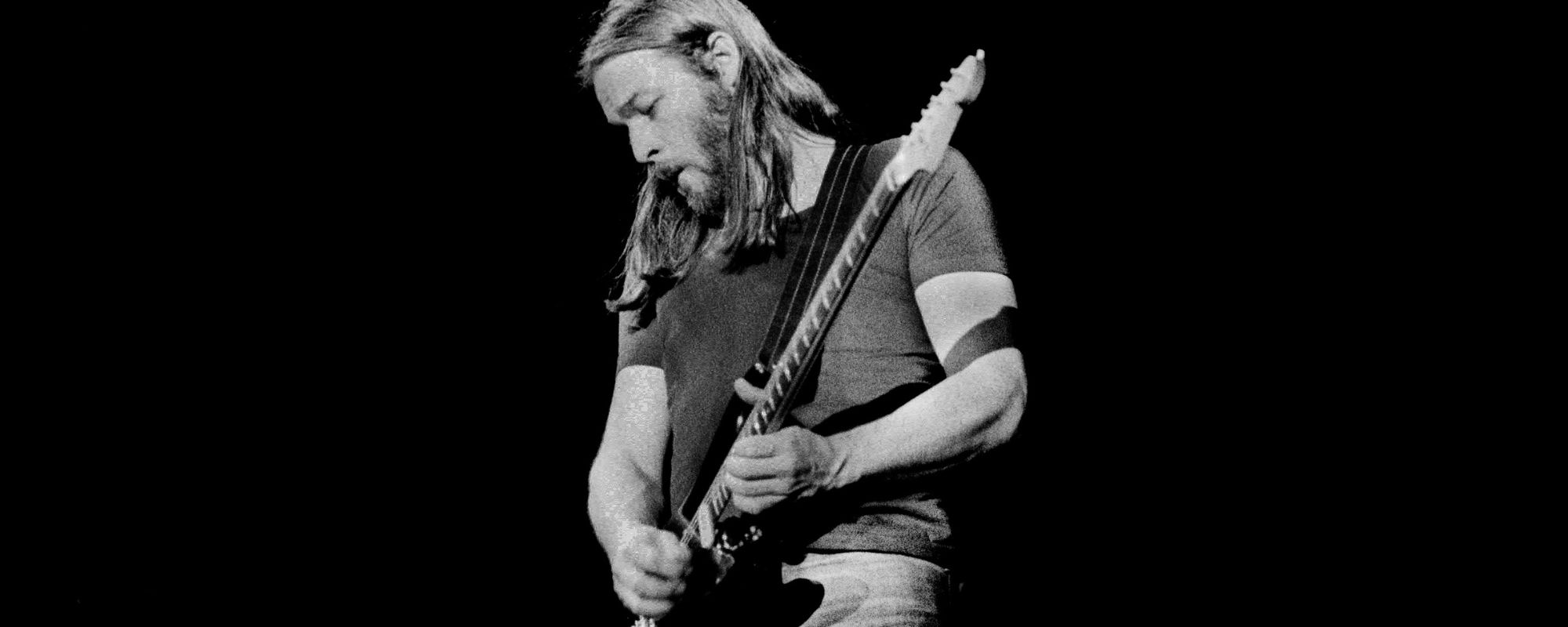 David Gilmour performing