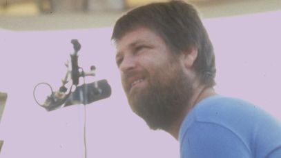 Brian Wilson performing