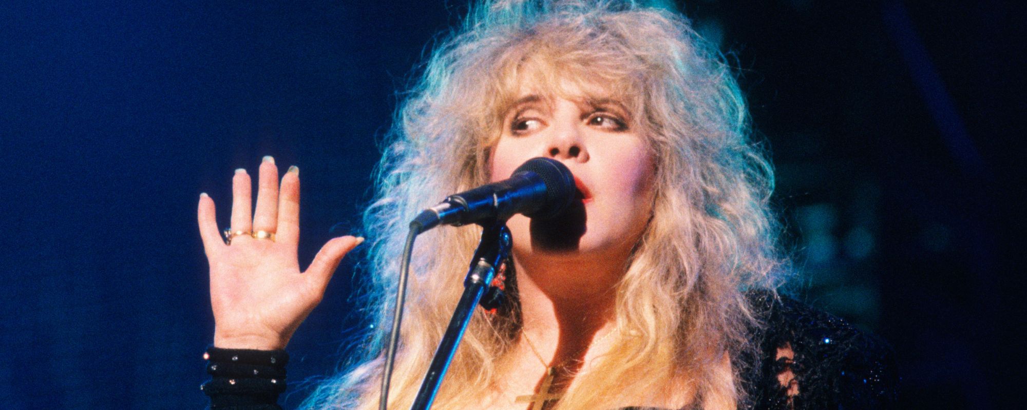Stevie Nicks performing